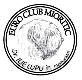 logo 9